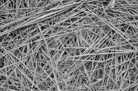 Natural art backgroundの写真素材