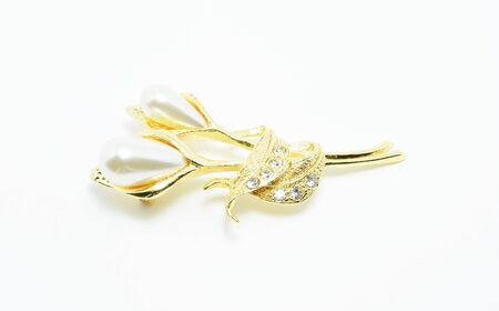 Broochの写真素材