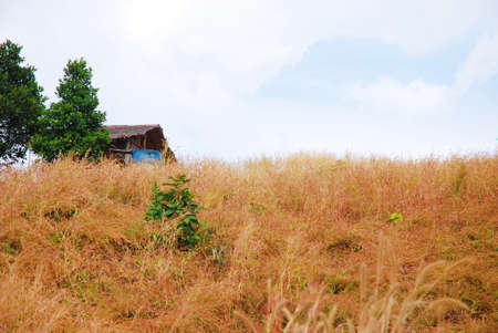 landscape of mountainの写真素材