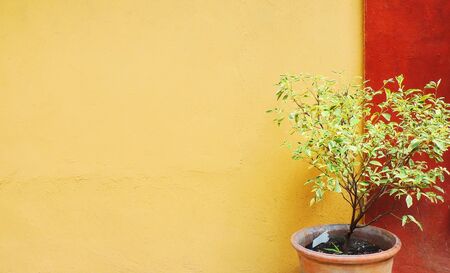 Natural Art backgroundの写真素材