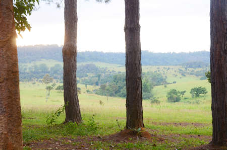 Landscape of Natuteの写真素材