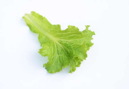 lettuce leafの写真素材