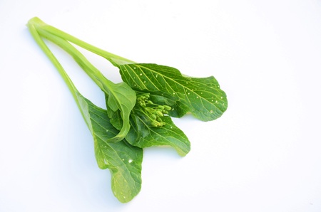 CHINESE CABBAGEの写真素材