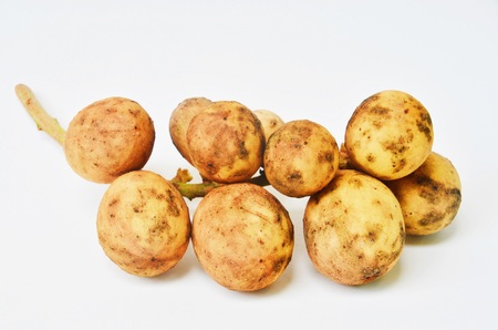 longkongの写真素材