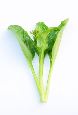 CHINESE CABBAGE-の写真素材