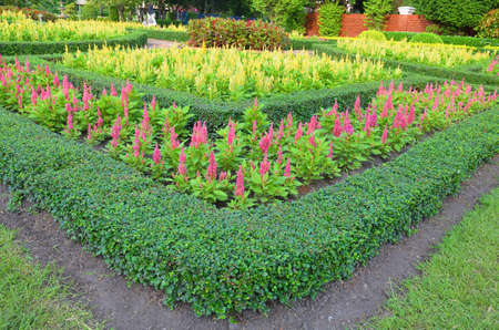 Flower garden