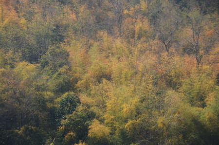 Landscape of mountainの写真素材