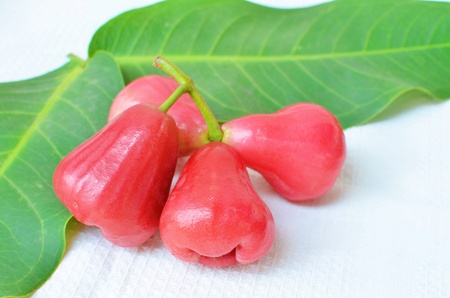 Rose appleの写真素材