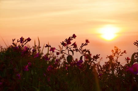 Landscape of sunrise sky is nature backgroundの写真素材
