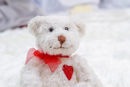 White bear in bed in baby bedroomの写真素材
