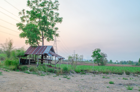 Old abandoned hutの写真素材