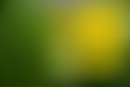 Green, yellow Gradient color, blurred background, abstract, highlightの写真素材