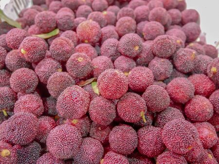 Assortment of Red YangMei Berries from Chinaの写真素材
