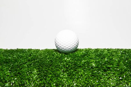 The white ball placed on the green lawn.の写真素材