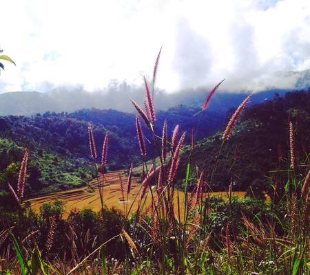 Naturalness Chiang Mai Thailandの写真素材