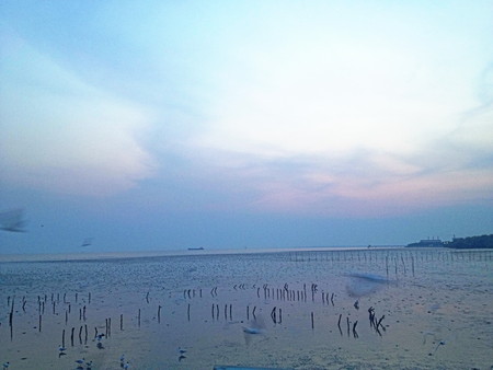 Bang Po Resort Samut Prakan, Thailandの写真素材