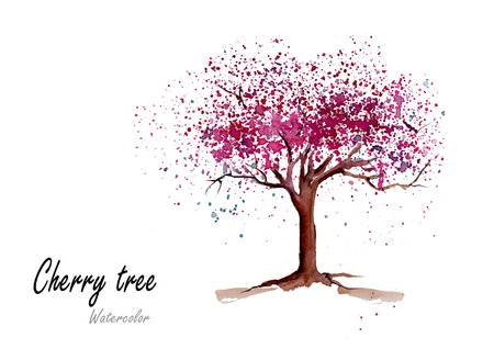 Cherry tree.Hand drawn watercolor painting on white background.Vector illustrationのイラスト素材
