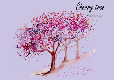 Cherry trees.Hand drawn watercolor painting .Vector illustrationのイラスト素材