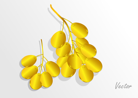 Grapes golden concept  on white background .Vector illustrationのイラスト素材