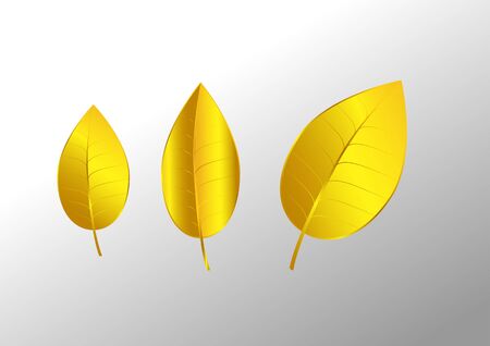 Golden leaves  on white background ,Vector illustrationのイラスト素材