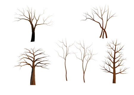Isolated trees object,Vector illustrationのイラスト素材