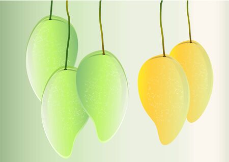 Mango ,green and yellow  mango Isolated object ,Vector illustrationのイラスト素材
