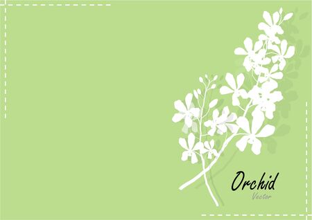 Orchids,white paper cut orchid on green backgroundのイラスト素材