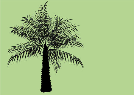 Palm oil tree  silhouette on green backgroundのイラスト素材