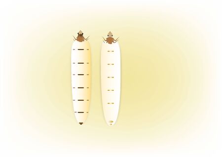 Termite queen isolated vector illustrationのイラスト素材