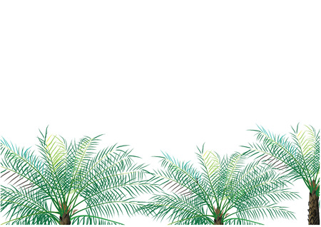 Palm oil background vector illustrationのイラスト素材