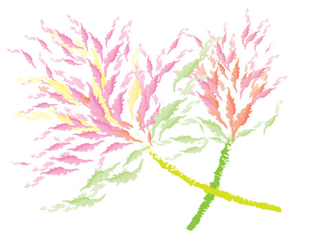 pink flower, celosia flower on white backgroundのイラスト素材