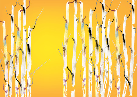 Birch tree ,forest birch trees  vector watercolor brush hand drawn ,vector illustrationのイラスト素材