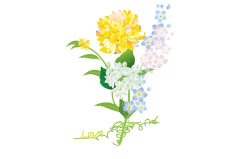 dahlia flower ,yellow  flowers on white background,vector illustrationのイラスト素材