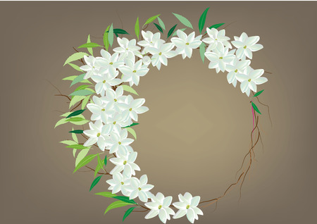 Crown jasmine flowers with leaves  top view  and side view .vector illustrationのイラスト素材