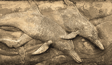 Whale on background and textureの写真素材