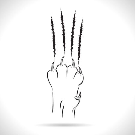 Vector of claws scratching cat,cat paw leg foot,design, Isolated on theWhite background.のイラスト素材