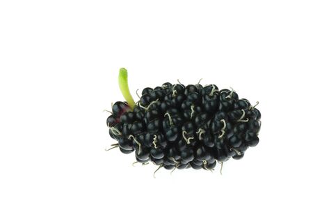 Mulberry berry isolated on the white background.の写真素材