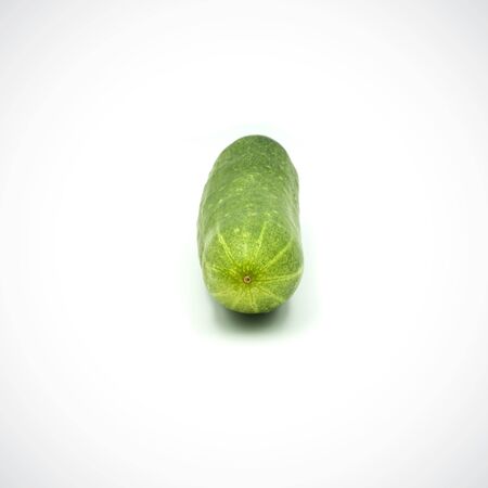 One cucumber on a white backgroundの写真素材