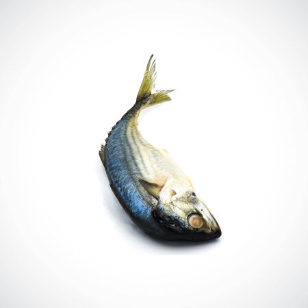 Steamed mackerel Isolated on the white background.の写真素材