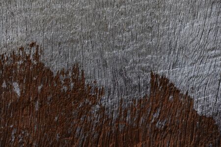 The old wood Backgrounds Textures.