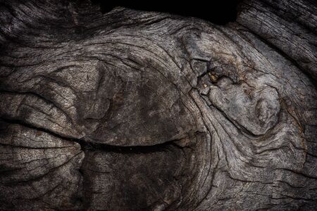 Natural old wood texture background.の写真素材