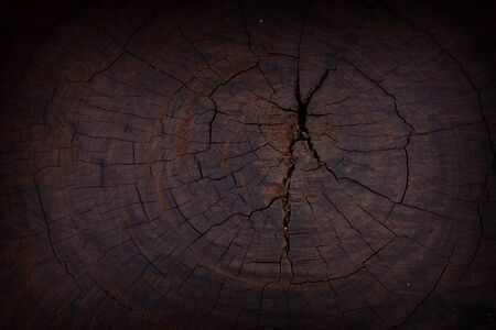 Natural old wood texture background.の写真素材