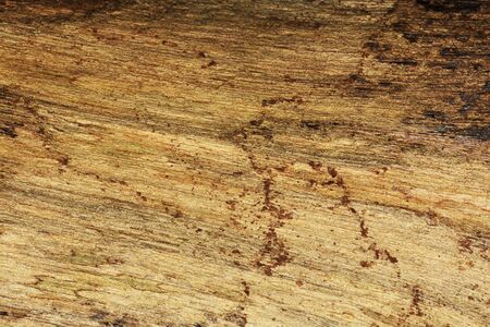 The old wood Backgrounds Textures.