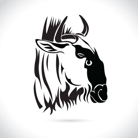Vector image of an wildebeest head design on the white background.のイラスト素材