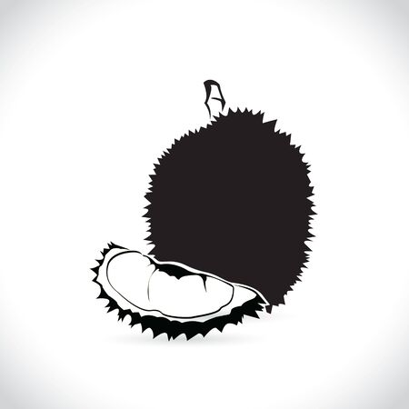 Vector of durian isolated on the white background.のイラスト素材