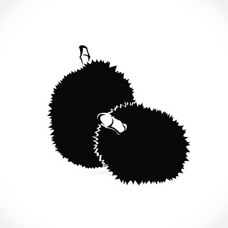 Vector of durian isolated on the white background.のイラスト素材