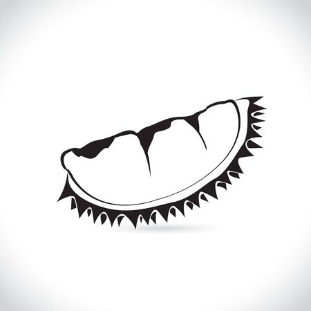 Vector of durian isolated on the white background.のイラスト素材