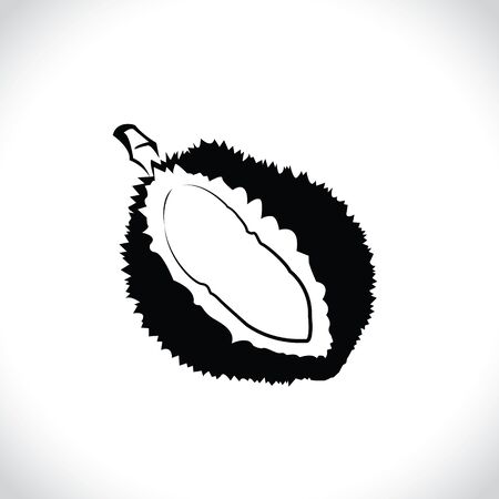 Vector of durian isolated on the white background.のイラスト素材