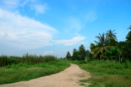 The bright sky and clouds の写真素材