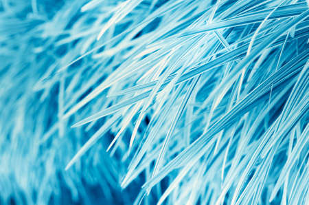 Abstract background of the nature of plants, soft focusの写真素材